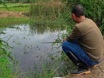 兄弟们,你们的童年也是这样度过的吗#原来钓鱼才是抖音运动顶流 #2023dou来钓鱼 #dou是钓鱼人 #钓鱼