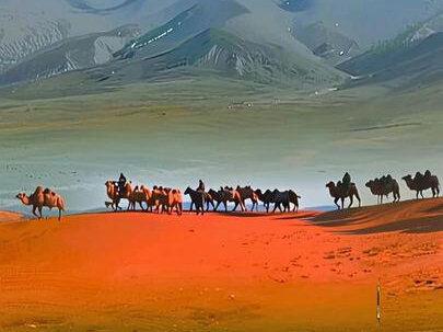 从新疆东天山到洛阳的骆驼队 #洛阳旅游 #新疆东天山 #骆驼队 #新疆东天山