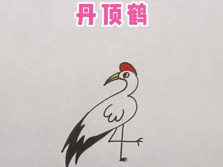 简简单单就可以画出来的丹顶鹤#儿童简笔画 #一起学画画 @DOU+小助手