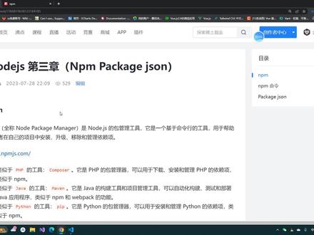 nodejs npm 和 package.json #nodejs #IT #互联网 #前端