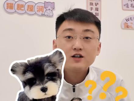 资深铲屎官推荐 #经验分享 #雪纳瑞 #雪纳瑞幼犬#宠物 #萌宠