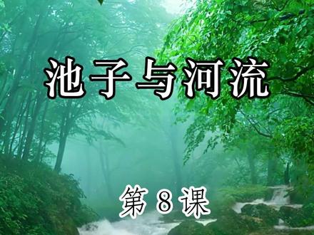 三年级下册第8课《池子与河流》 #读书 #每日一读 #课文朗读 #小学语文 #三年级下册语文