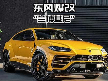 小伙为了人前显贵爆改风行T5EVO!#东风 #兰博基尼