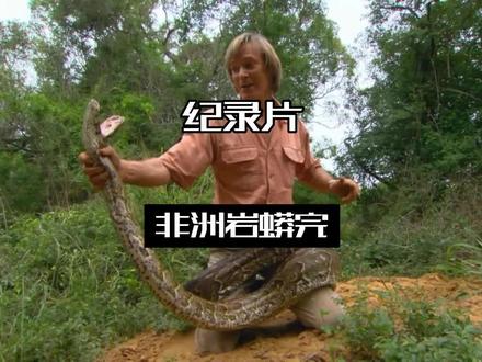 奥斯汀寻找食人蟒完 #纪录片解说 #野外生存 #奥斯汀历险记