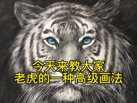#精微素描动物 #大老虎 今天教大家老虎的的高级画法,你学废了吗?联考结束了快来画画动物吧,毛发没你想的那么难