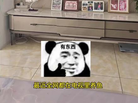 伏脂辌辍木牛流洞座
电视养鱼教程来啦#电子养鱼#养鱼#电视养鱼教程#电视屏保#龙鱼