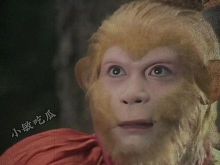 你就是朱之文是什么梗? #万万没想到 #你就是朱之文 #李雪花 #名场面 #抽象