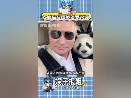 外国人的熊猫情结!#熊猫 #国宝 #老外 #万万没想到