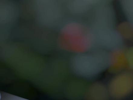 下把给我起航母! #cs2 #每一帧都是热爱 #csgo #非人类