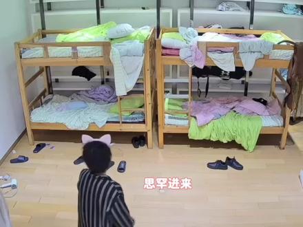 啊啊啊!!聂罕你们俩,甜鼠我了 #聂罕 #聂一把罕