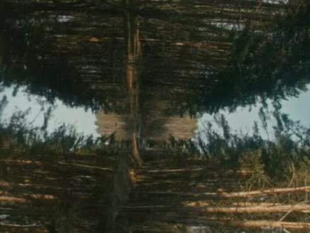 内心干净,灵魂干净,眼神才会干净,气质才会纯粹。内在丰盈者,独行亦如众。#情感 #享受安静和独处 #修心修行 #干净纯粹