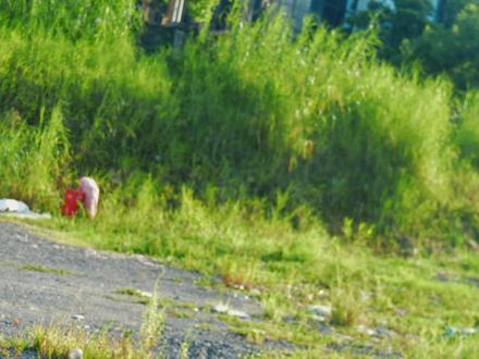 变身升级!古魔退散~《超星战士》第七集 正片——最佳形态 #国产特摄 #超星战士 #变身 #机甲 #特摄