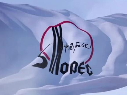 中国石化2023年度校园招聘考试时间确定(附详细时间节点)#找工作 #中石化 #校园招聘#应届毕业生#报名 #考试 #毕业生 #秋招 #校招 #2023年度#毕业生