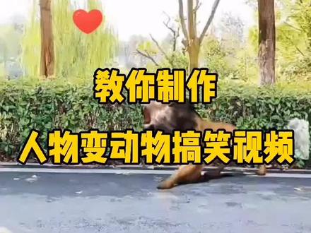 教你制作人物变动物搞笑视频
#手机剪辑教学 #剪辑教程 #手机剪辑