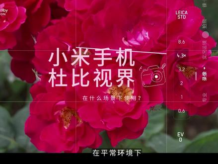小米手机杜比视界什么时候开? 今天给大家用鲜花来举例,杜比视界什么场景下用。#小米 #小米手机 #小米相机 #杜比视界