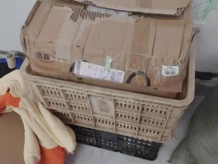 小兔十天左右产箱垫料脏污严重,换垫料避免小兔着凉生病#养兔子 #宝妈养兔 #换兔子垫料 #养家兔 #小兔崽护理