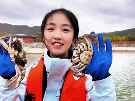 肉厚膏肥!安定区鲁家沟镇的大闸蟹新鲜上市#药都薯乡壮美定西 #厚道甘肃 #螃蟹