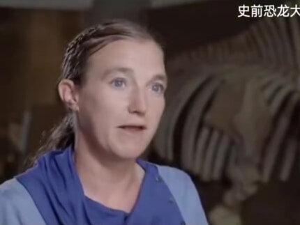 霸王龙,成年霸王龙体长约12米,体重7吨左右,是地球上有史以来最大的陆地捕食者之一。#史前巨兽 #恐龙世界 #恐龙 #恐龙化石 #霸王龙