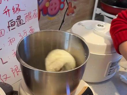 扬子YANGZI发面和面5L大容量多功能定时恒温一体机和面醒 #和面机 #家用电器 #居家好物 #好物推荐 #购物分享 发面和面5L大容量