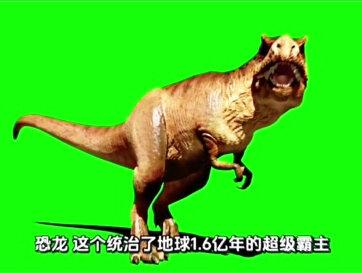 显生宙-中生代-侏罗纪(2.01-1.45亿年前) 巨型蜥脚类、兽脚类遍布;海洋鱼龙、上龙,空中翼龙;银杏、苏铁、松柏覆盖大陆;出现原始鸟类(始祖鸟)。#侏罗纪 #科普 #冷知识 #抖音精选计划 #宇宙科普