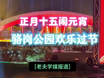 正月十五闹元宵 骆岗公园欢乐过节