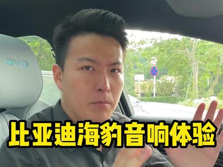 #比亚迪海豹的音响效果怎么样?