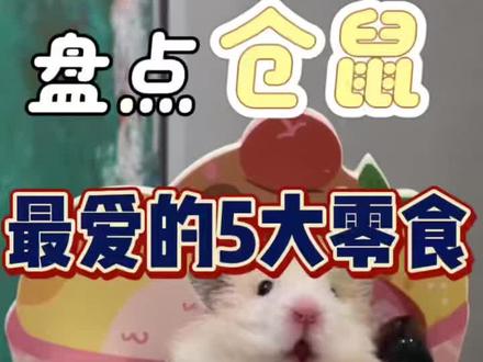 适合仓鼠的零食,可不要乱喂了 当然,吃啥都要注意量,光吃这几种可不行#仓鼠 #金丝熊 #仓鼠健康 #金丝熊零食 #异宠医生