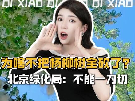 为啥不把飘絮的杨柳树全砍了?北京绿化局:不能一刀切 #杨柳树 #杨棉 #种树 #晓奇有话说