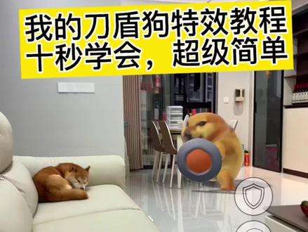 我的刀盾狗特效
我的刀盾
我的刀盾狗
我的刀盾比比拉布八嘎呀路歪比巴卜#剪映
#我的刀盾 #我的刀盾狗 #ai特效 #歪比巴卜