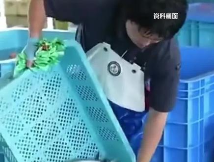 日本称水产品被中国海关扣留,日本食品的安全性已经得到科学证明,"将尽最大努力鼓励中方取消对日进口食品限制"