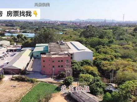 新圩桂林村整村拆迁#同翔高新城翔安片区 #同翔整村拆迁 #桂林草埔宫#草埔宫前边#桂林园下