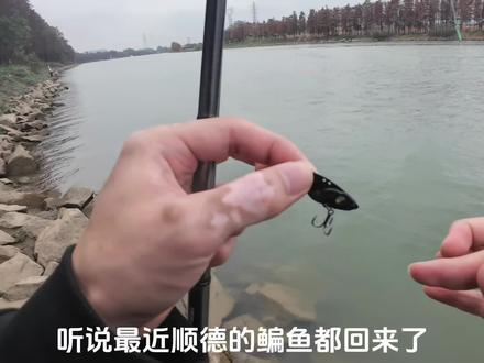 鳊鱼真的是路亚鱼种里面最好钓的 你们觉得呢#路亚野钓 #路亚鳊鱼