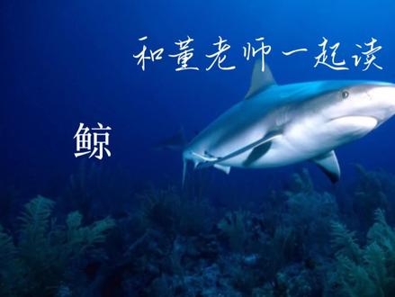 五年级语文《鲸》 #鲸鱼🐳 #课文朗读 #伴读正音