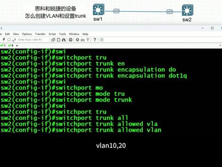 一分钟学会,给思科和锐捷的设备设置vlan和trunk #网络工程师 #计算机网络 #运维工程师