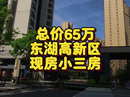 总价65万,东湖高新新房现房,带一个车位#武汉买房 #武汉新房 #武汉楼市 #光谷买房 #南山锦宸