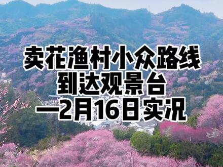 上条视频给大家介绍了卖花渔村的小众本地人路线(不换乘),这条视频给大家看看现在卖花渔村能看到哪些景#都来这里过大年 #卖花渔村 #卖花渔村赏花 #黄山导游 #黄山跟拍