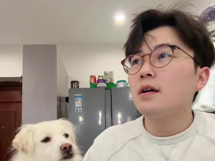 小狗晚上为什么会睡着睡着突然来屋里看我一眼就走?#养狗经验分享#狗狗行为心理#狗狗巡逻#小七爱串串
