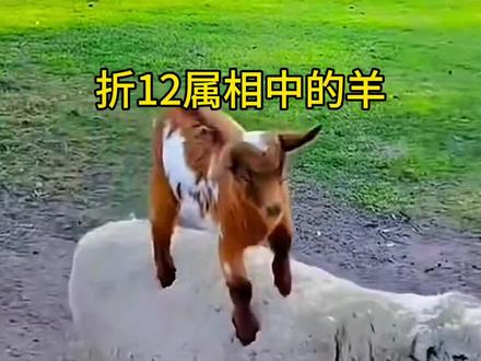 #创作灵感 #折纸教程 #十二生肖 中的第八位属相羊。#十二生肖折纸大全 #亲子手工 。