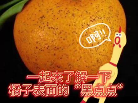 一起来了解橘子表面的“黑点点”#生鲜 #水果科普