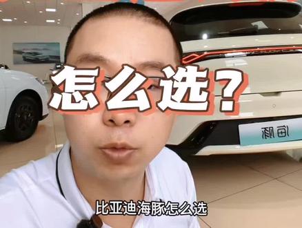 #比亚迪#比亚迪海豚#衡阳比亚迪。比亚迪海豚到底怎么选?