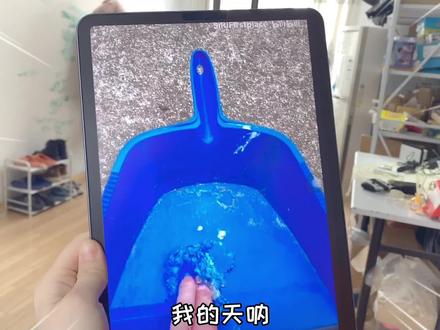 “毒"蘑菇幻象大挑战!红伞伞白杆杆的画面太诡异,看完差点崩溃 #毒蘑菇幻术