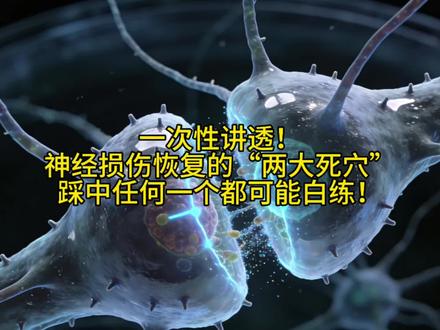 #神经#神经损伤#神经修复#康复#康复运动