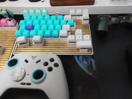 【讨厌测玩】冰原狼手柄的转轴十字键是什么,Pom圈又是什么 #游戏手柄 #手柄 #潮玩 #游戏外设 #科普知识