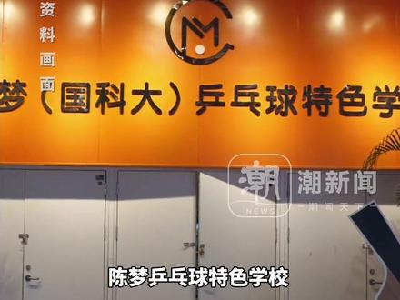 多位乒乓球名宿开办学乒乓学校:陈梦国科大特训营20天9000元,许昕乒乓夏令营8天7999元,张继科教学包月9800元