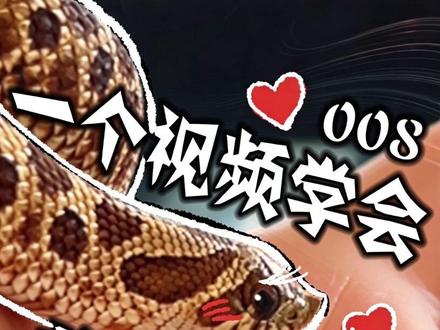 008 新手必看 一个视频教会你养猪鼻蛇!新手零失败 #米叔的懒人宠物 #懒人宠物 #猪鼻蛇饲养 #新手养宠 #家有萌宠