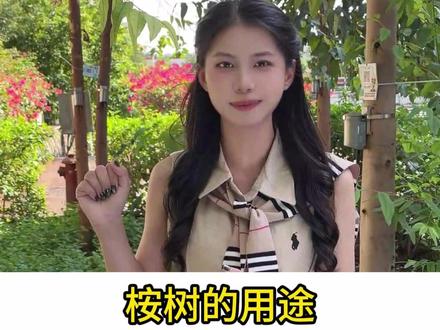 桉树的用处居然这么大 #桉树 #桉树种植 #热点