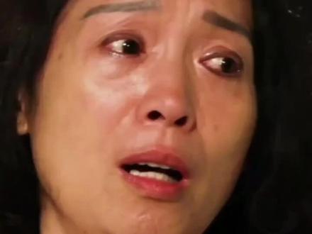 被寻姓名:杨盼盼出生年月:1990年11月24日失踪时间:1994年10月12日被寻籍贯:山西省稷