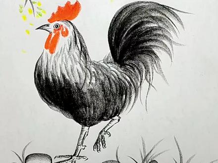 简单几笔画大公鸡🐓#零基础学画画 #一起学画画 #炭笔画