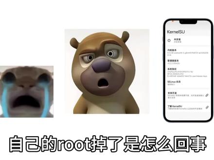 一觉睡醒自己的root掉了#root #root面具 #内核