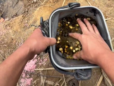 冬季钓大鱼,找对窝料是关键